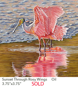 Sunset Through Rosy Wings